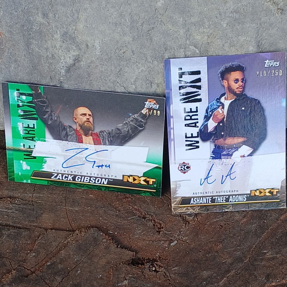 WWE Trading Cards Zack Gibson AND SHANTE The ADONIS Authentic Autographed NXT